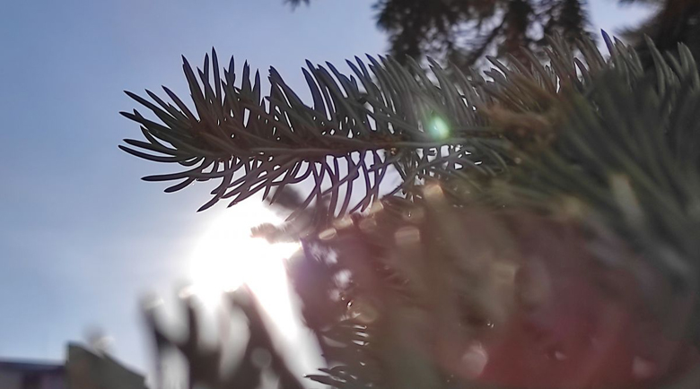 Слънчево начало на седмицата, температурите скачат